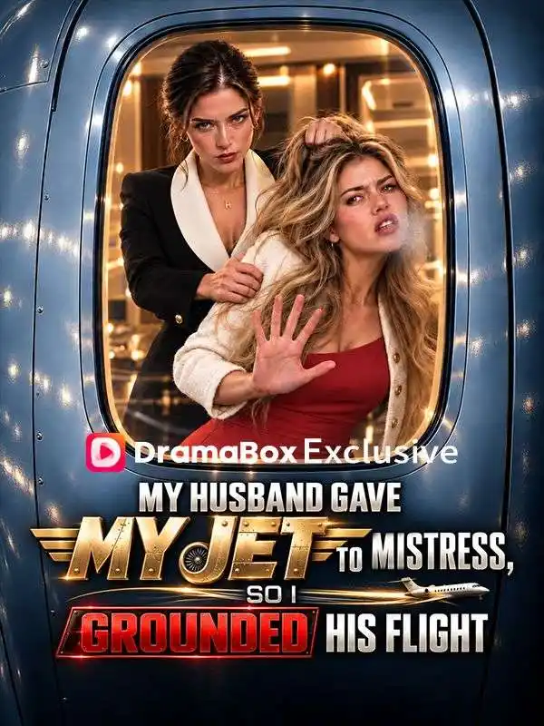 My Husband Gave My Jet to Mistress, So I Grounded His Flight poster
