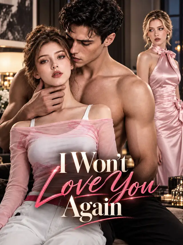 I Won't Love You Again poster