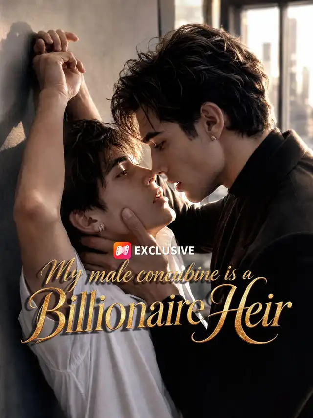 My male concubine is a Billionaire Heir poster