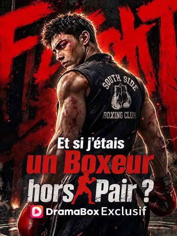 Et si j'étais un Boxeur hors Pair ? poster
