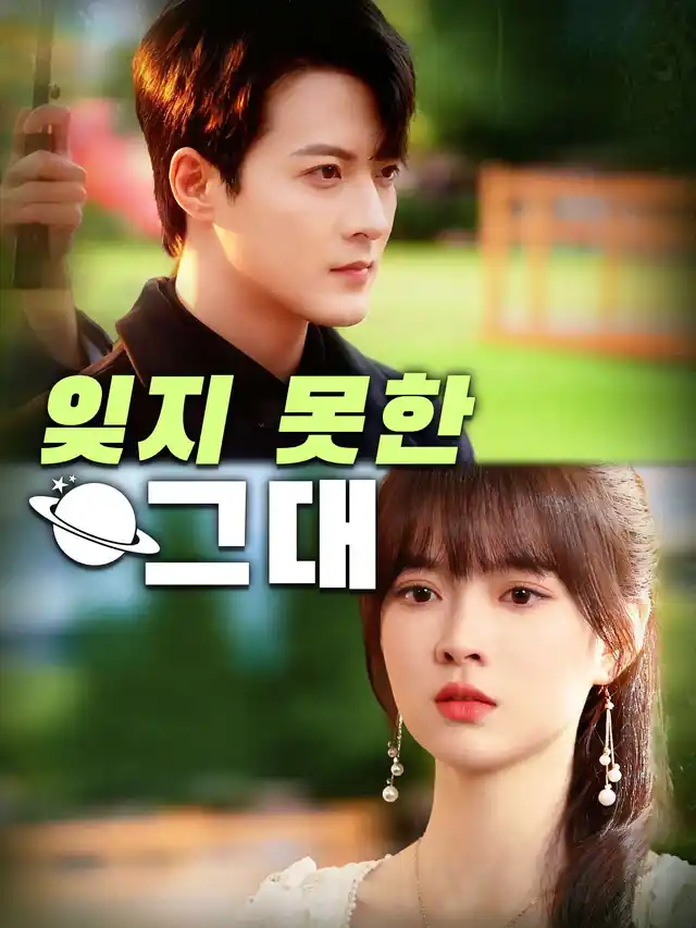 잊지 못한 그대 poster